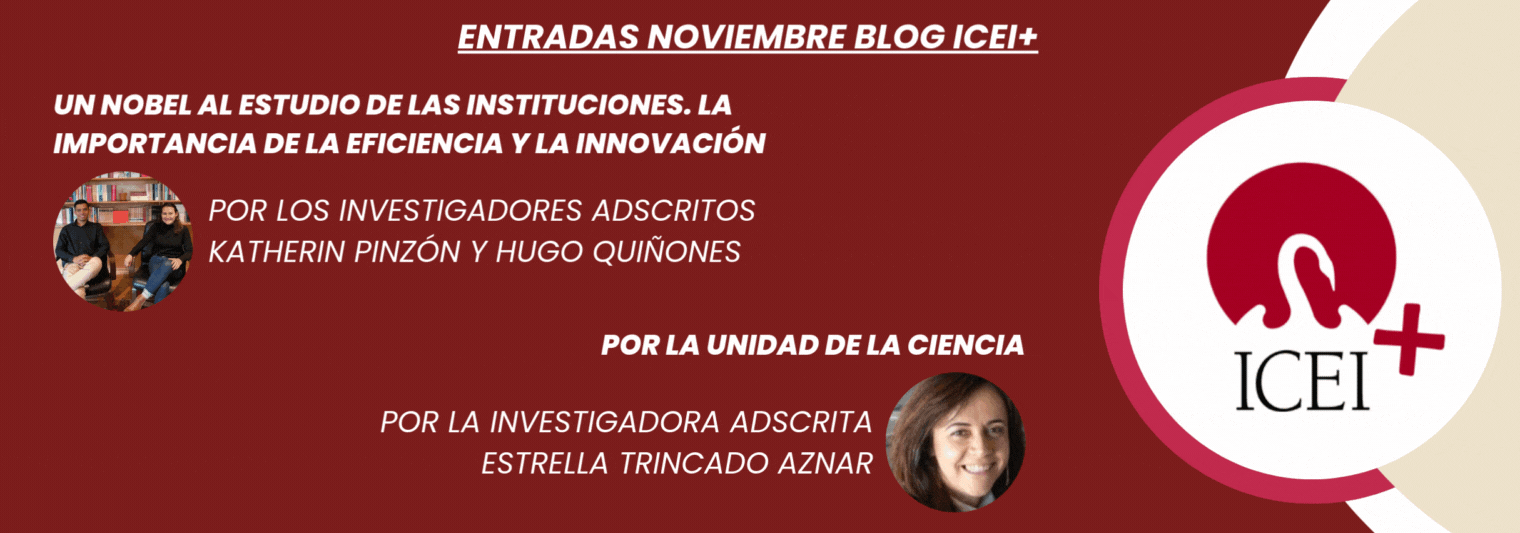 Accede aquí al Blog ICEI+